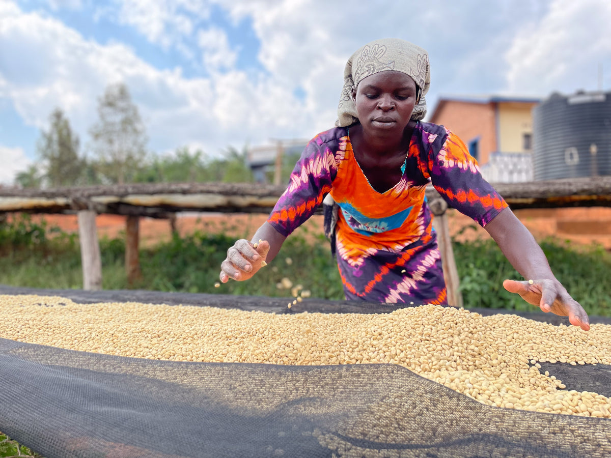 Rwanda Washed TUK