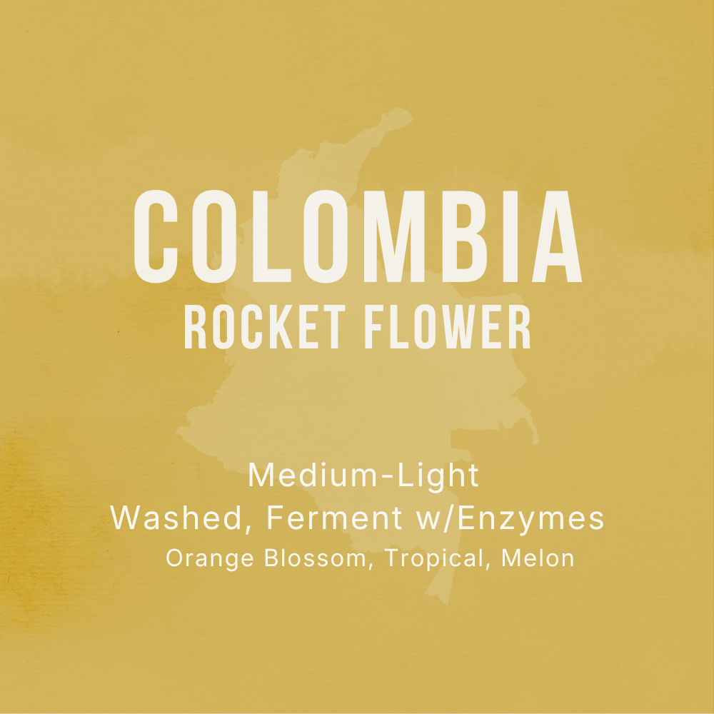 Colombia Rocket Flower