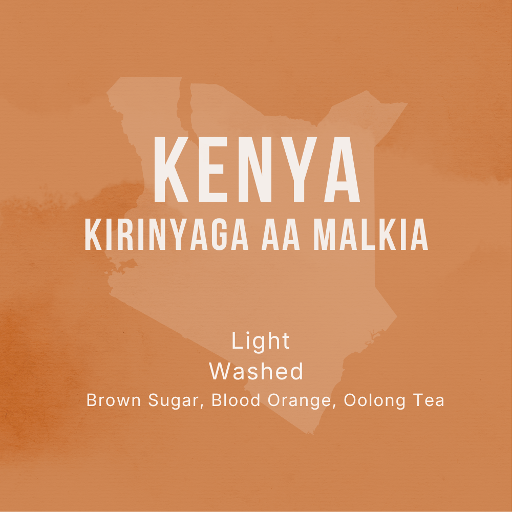 Kenya Kirinyaga AA Malkia