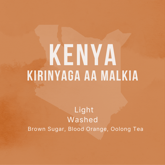 Kenya Kirinyaga AA Malkia