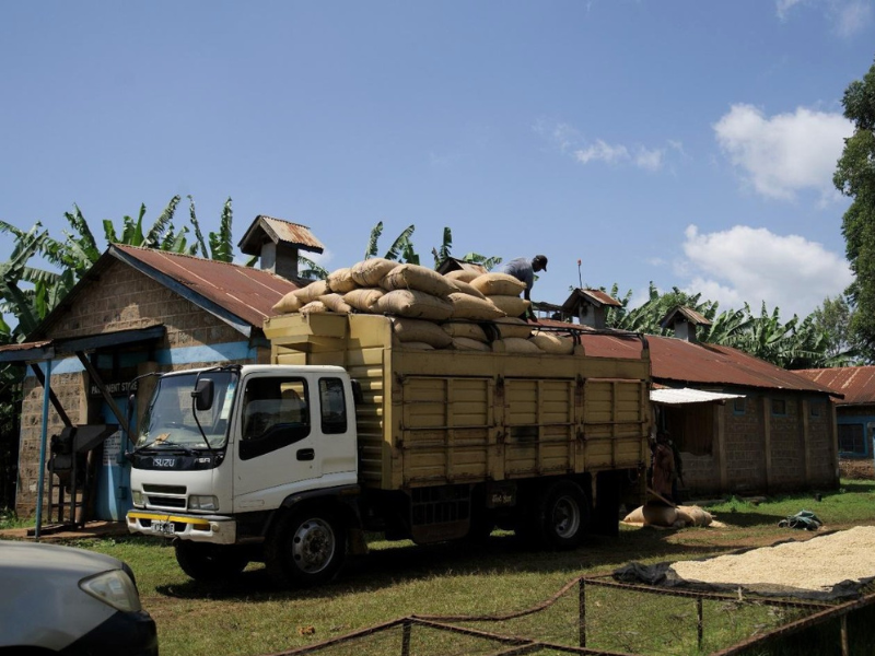 Kenya Kirinyaga AA Malkia