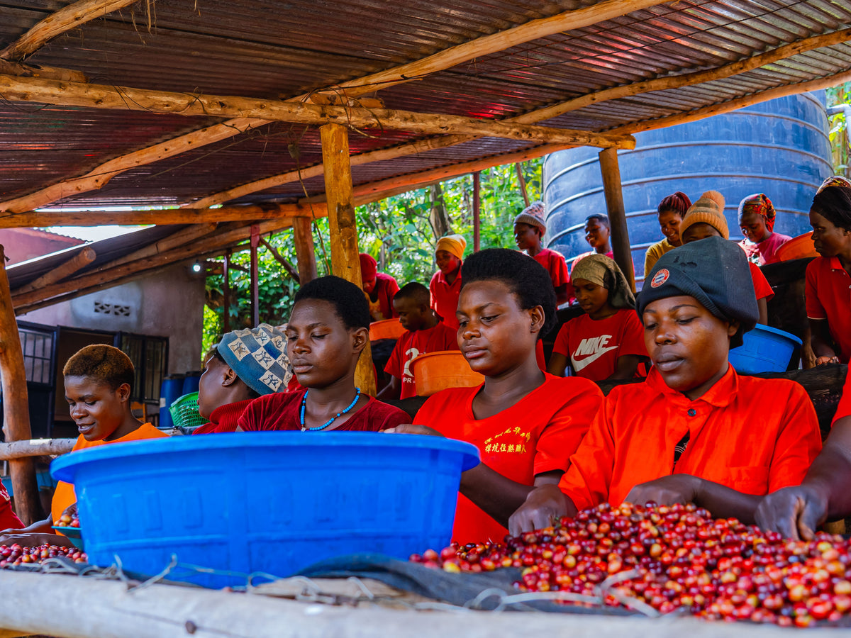 Rwanda Natural Ngoma