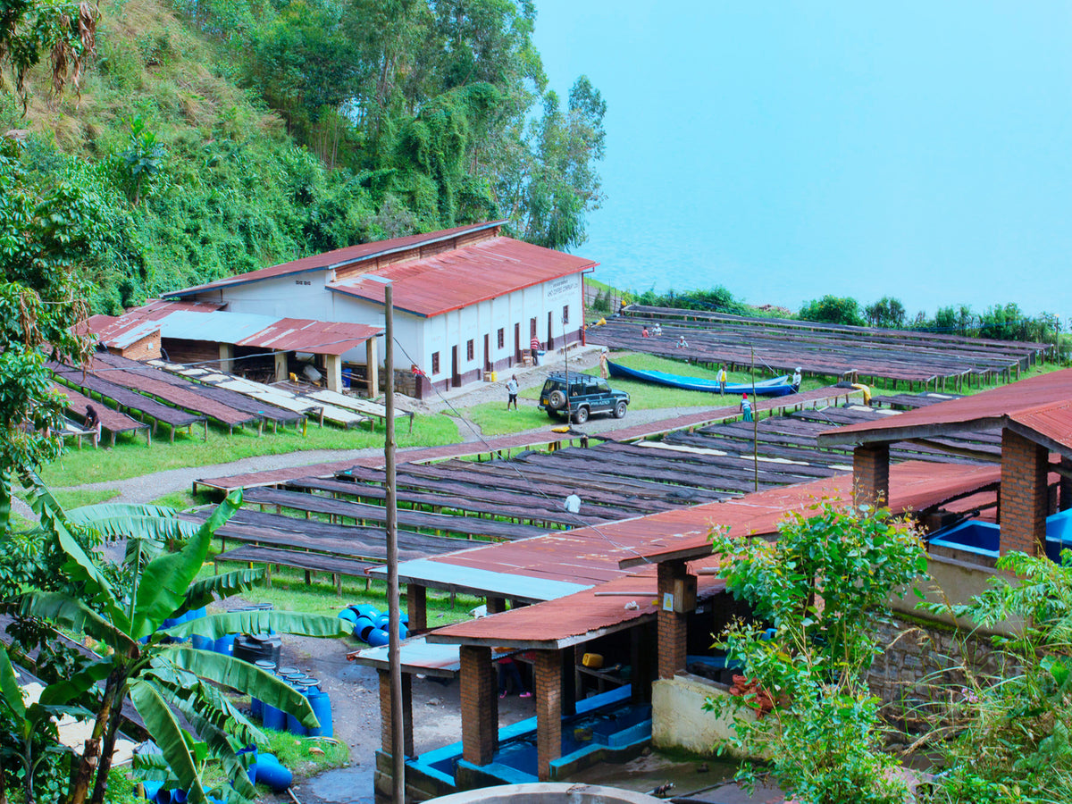 Rwanda Natural Ngoma